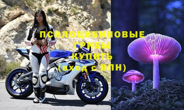 марки lsd Карпинск